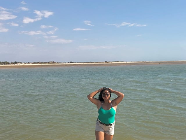 SweetPanda