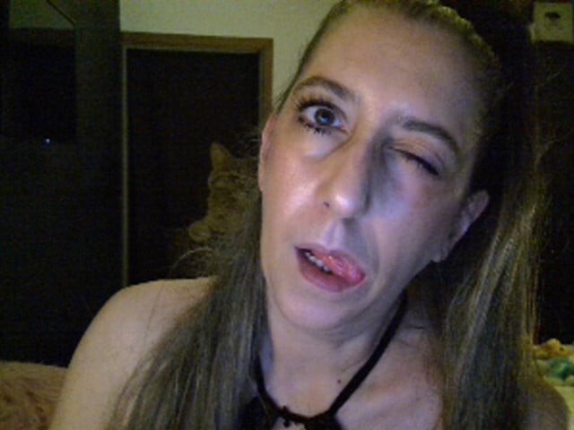 belgecoquine