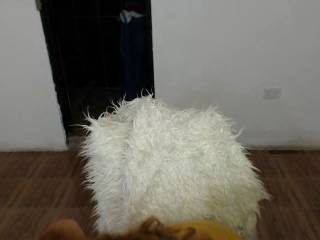 Sofiaflowers