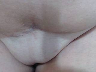 AnaScorpion