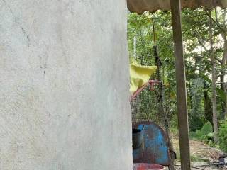 Lindanbeo00