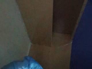 Janasouza123