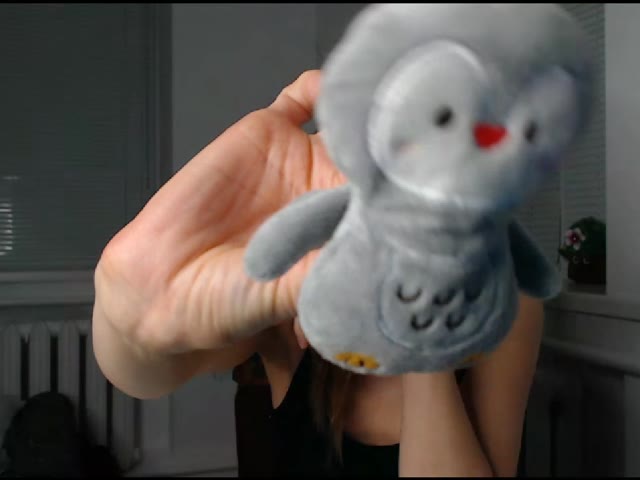 model