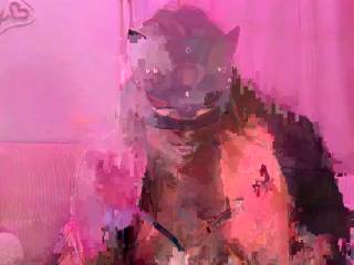 Lolalafemme