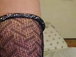 Cougar33