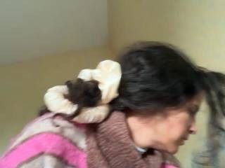 Bigboobs